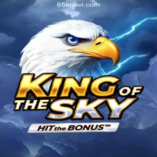 Exploring the Dynamic World of KingOfTheSky: A Detailed Guide